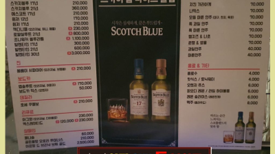 야당스카이돔나이트 ◁ 부킹만이 살길이다